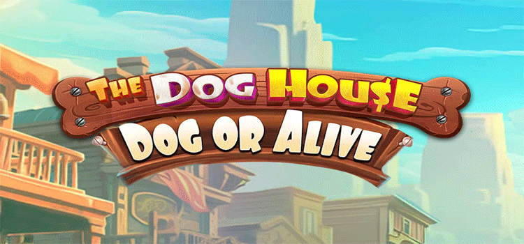 The Dog House – Dog or Alive